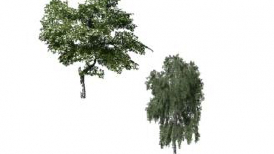 FS19 Two placeable trees v1.0