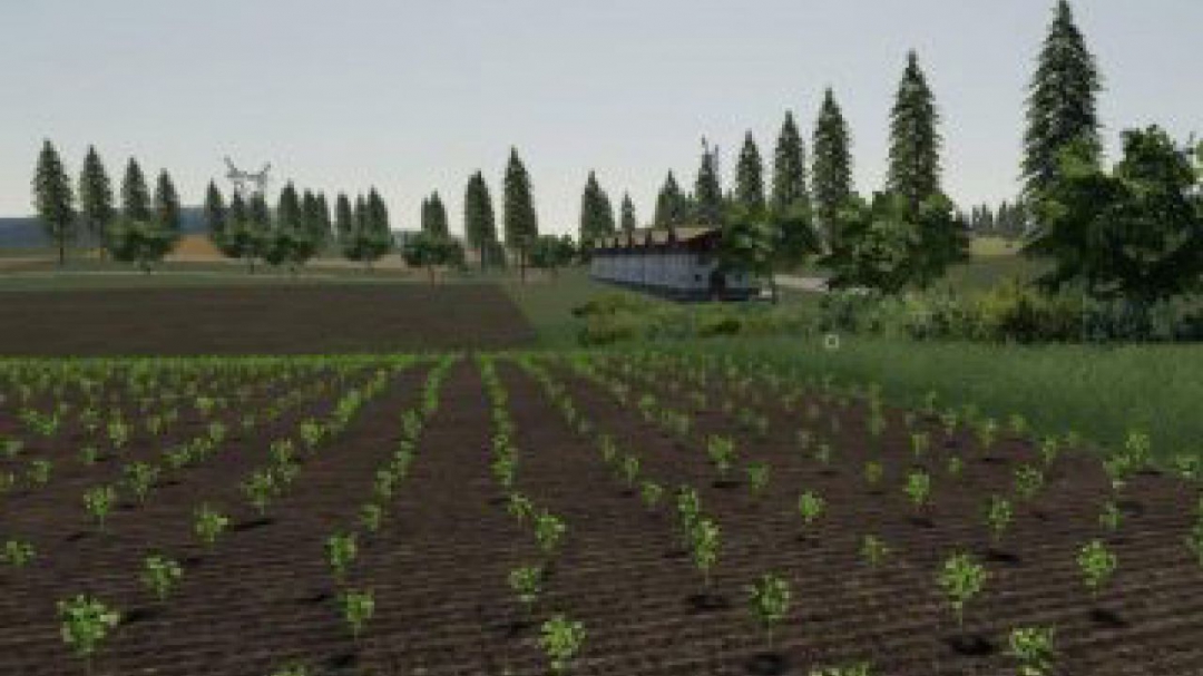 FS19 Wisniowo Map 2019 v1.0