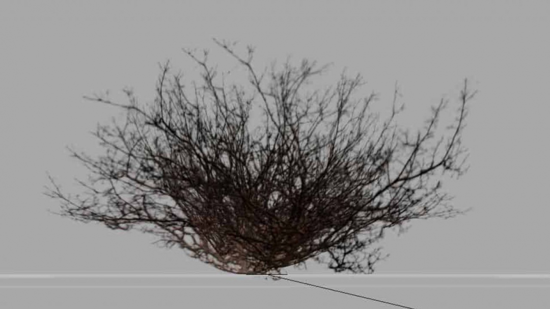 FS19 DryBush for maps v1.0