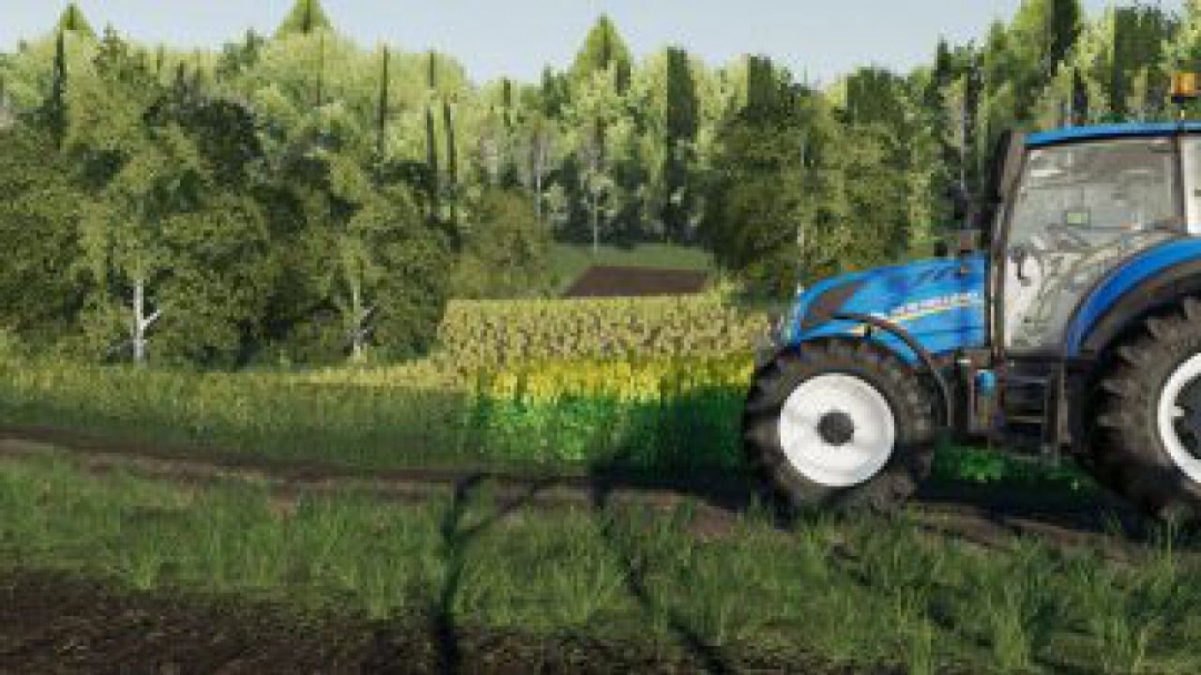 FS19 Zolkiewka Map v1.0