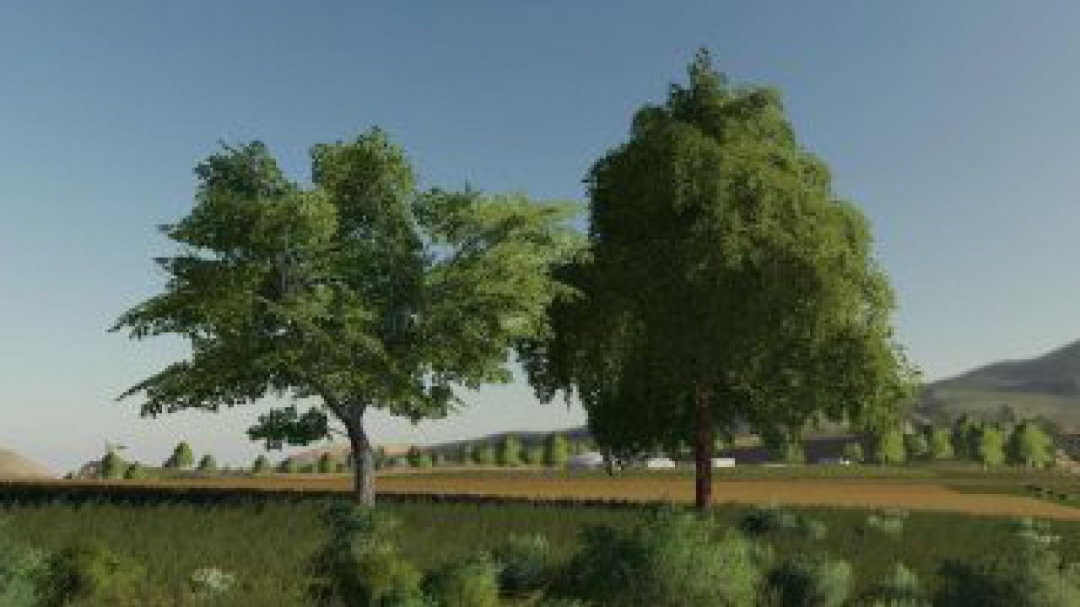 FS19 More Tree v1.0.0.0