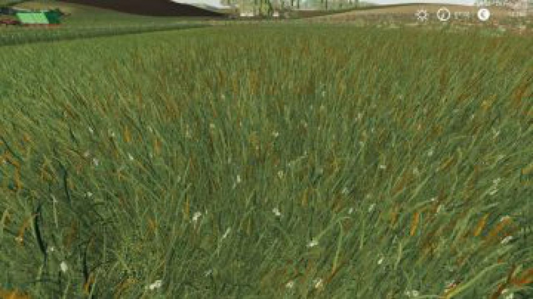 FS19 GRASS TEXTURE V1.0.0.0