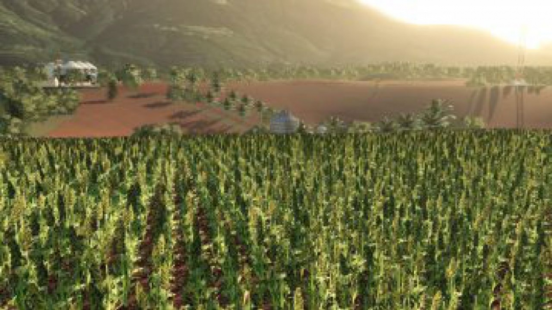 FS19 Farm CAMPO VERDE v1.0