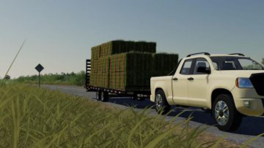 FS19 DO24 Trailer v1.0.0.0