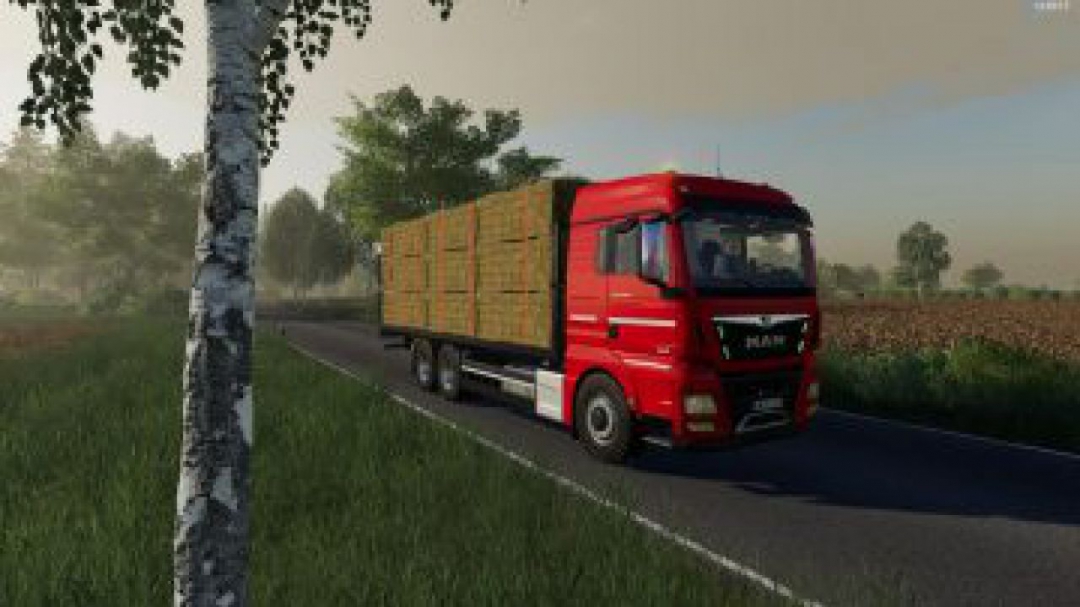 FS19 MAN TGX Plattform v2.0