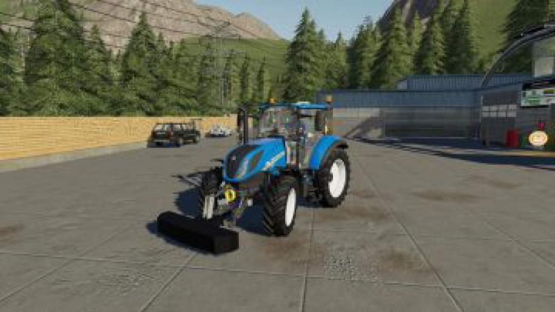 FS19 Lizard Gewicht 300 KG v1.0