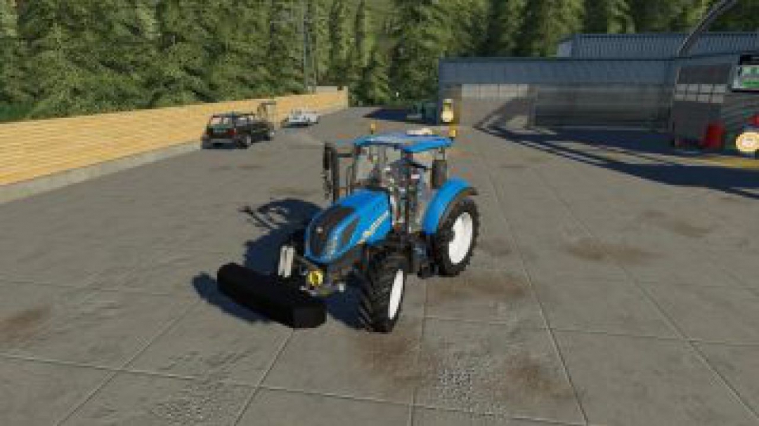 FS19 Lizard Gewicht 300 KG v1.0