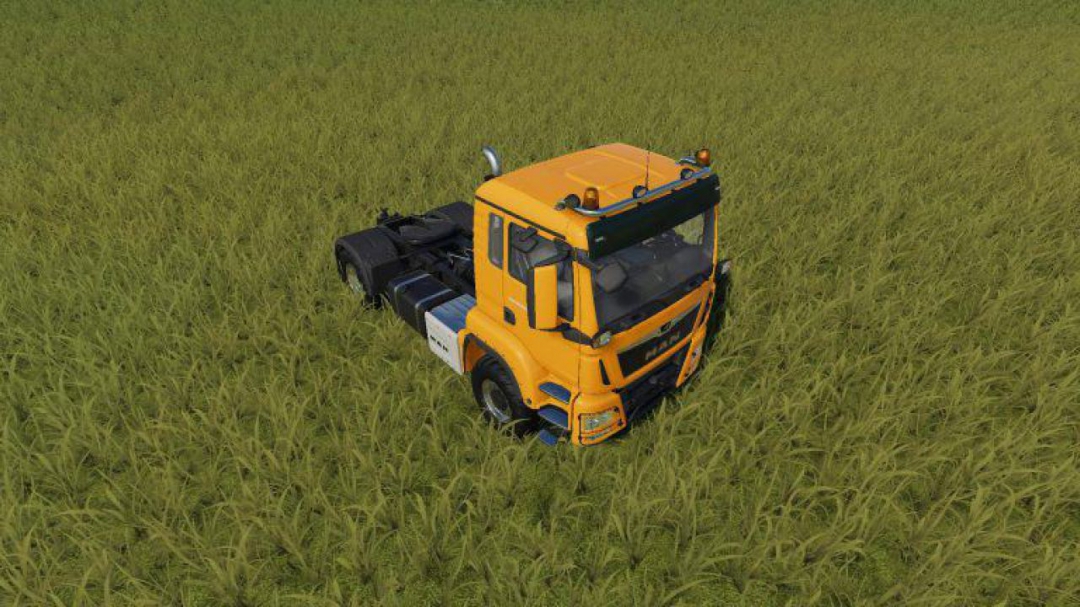 FS19 MAN TGS v1.0.0.5