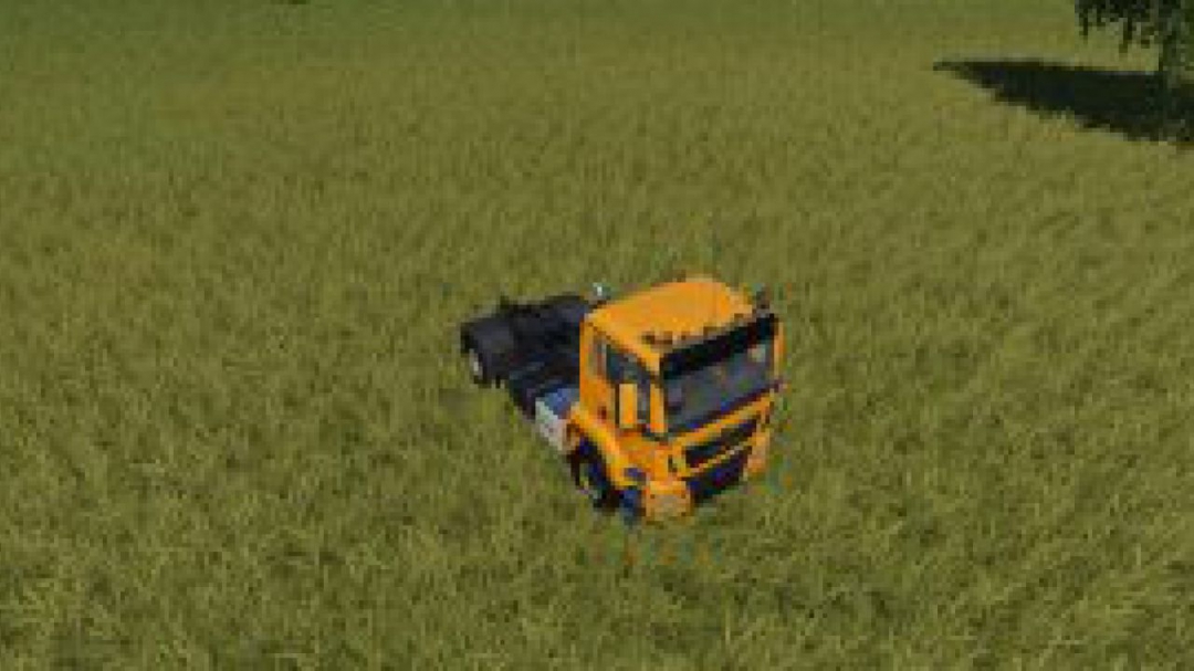 FS19 MAN TGS v1.0.0.6