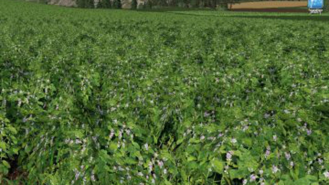 FS19 Forgotten Plants – Soybean v1.0