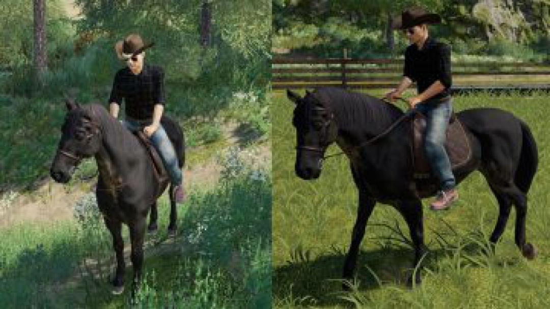 FS19 Cowboy Hat v1.0.0.0