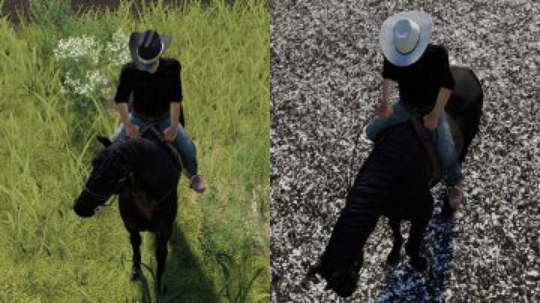 FS19 Cowboy Hat v1.0.0.0