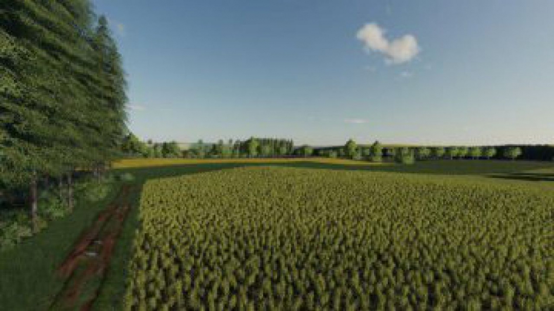 FS19 Rolnicze Pola v1.0