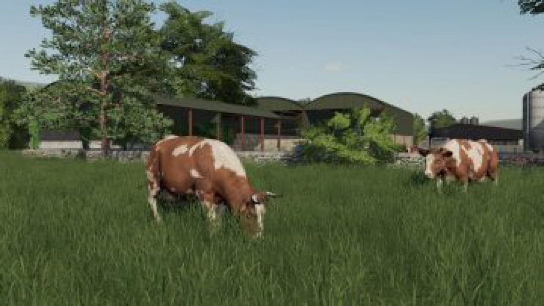 FS19 PeterVill Farm v1.0.0.0