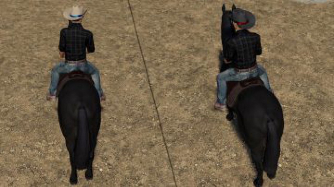 FS19 Cowboy Hat v1.0.0.1