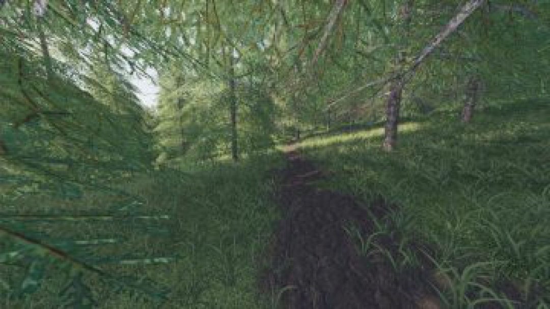 FS19 Willamina Forest v1.0.0.0