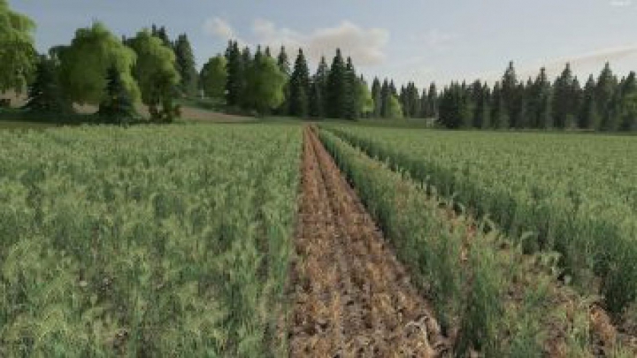 Trending mods today: FS19 Plant rows
