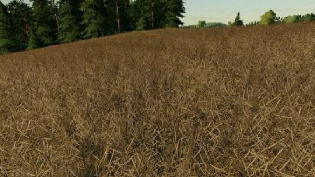 FS19 Plant rows