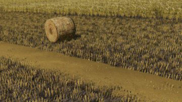 Trending mods today: FS19 Wheat – Barley – Windrow – Bales – Animations v1.0