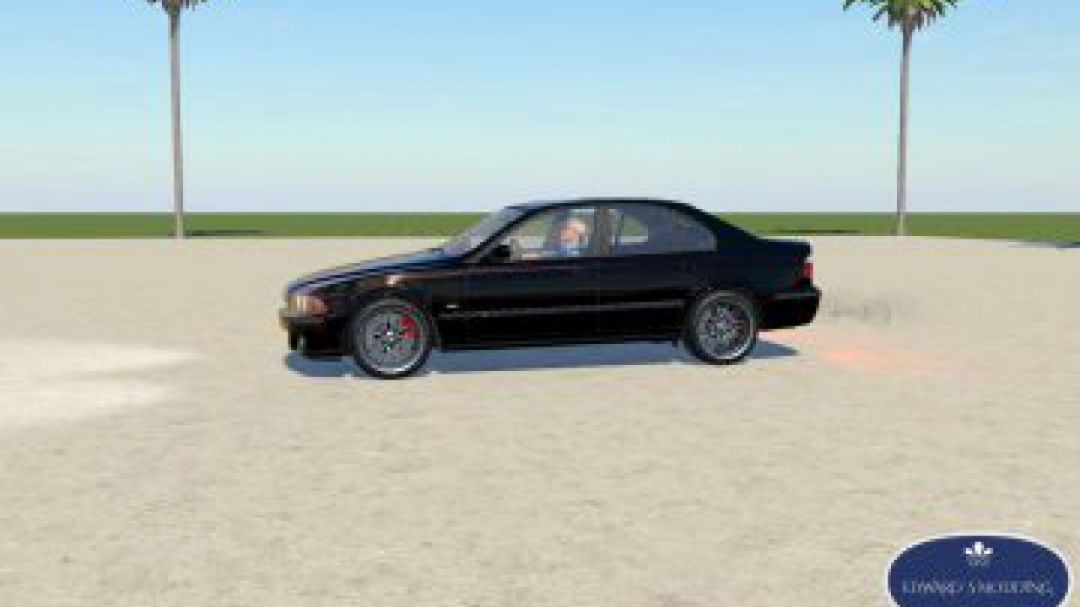 FS19 BMW 530i FS19 v1.0