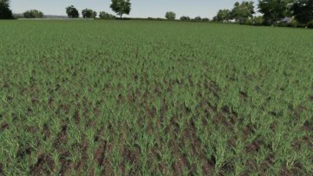 FS19 Realistic Cereal and Canola Crop Densities v1.0