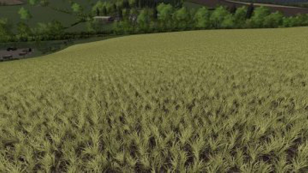 FS19 Realistic Cereal and Canola Crop Densities v1.0