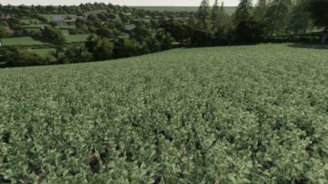 FS19 Realistic Cereal and Canola Crop Densities v1.0