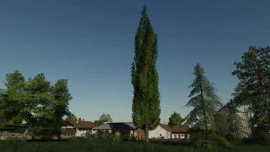 FS19 Placeable poplar v1.0.0.0