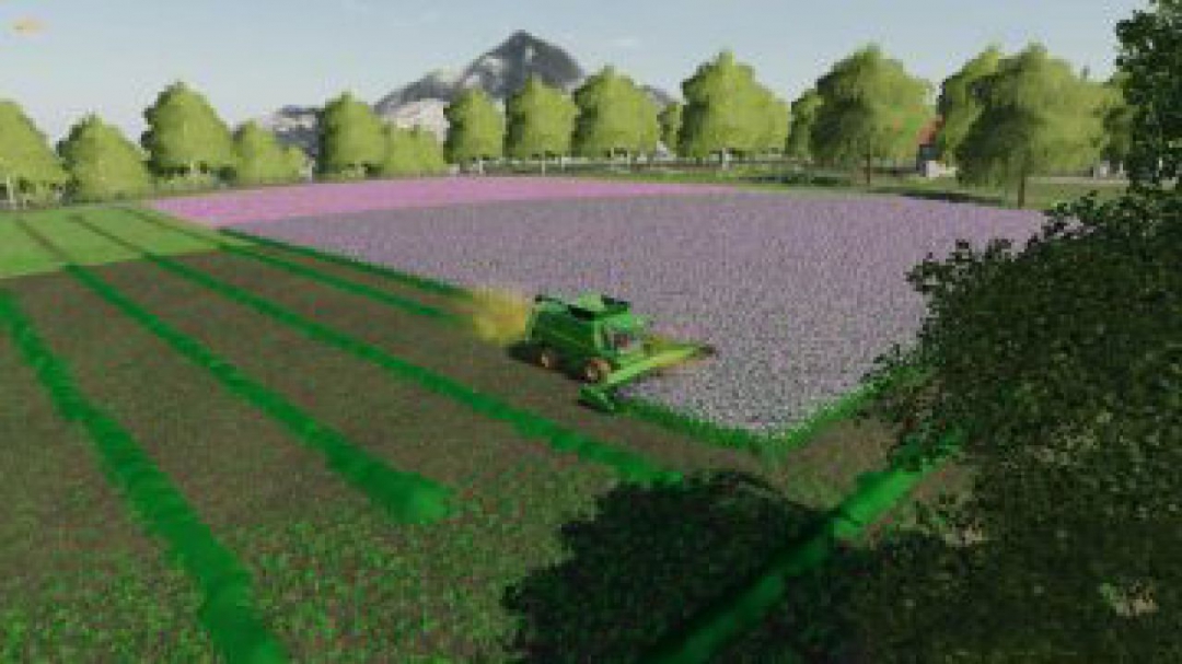 FS19 R.D.C. Map v1.1.0.0