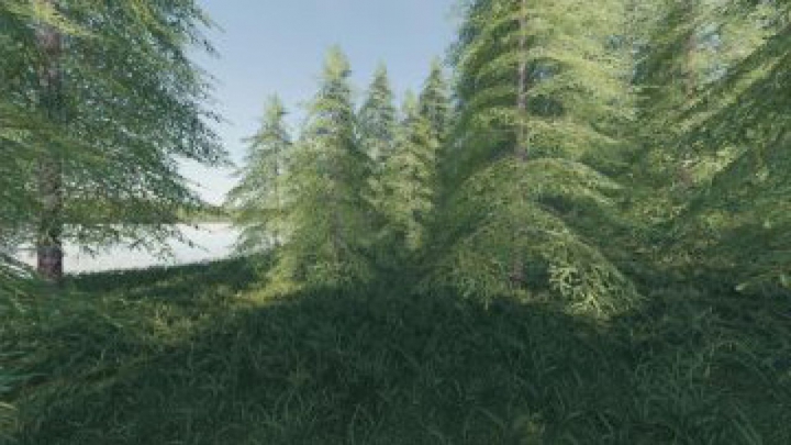 FS19 Willamina Forest v1.2.0.2 category: maps