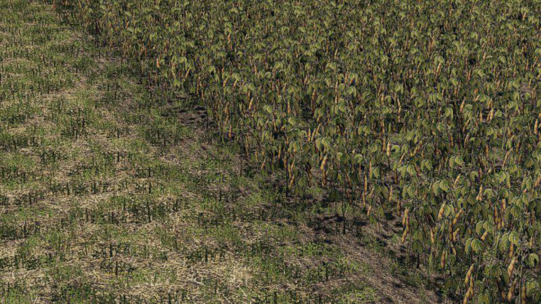 FS19 Oat, Soybean, Oilseed radish, Sugar Beet v1.0.0.0