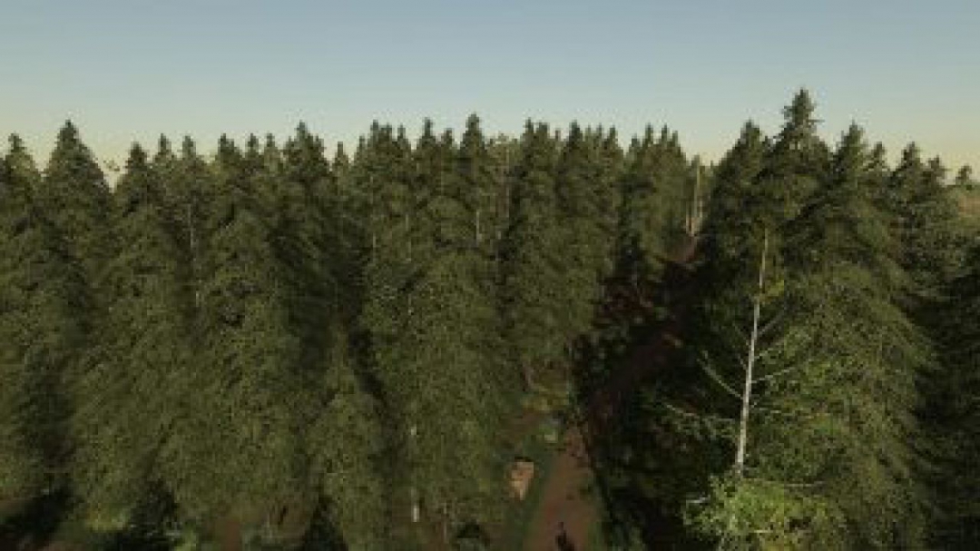 FS19 New Woodshire edit v2.0