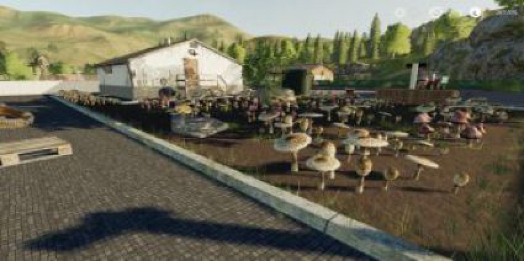 FS19 Mushroom Production v1.0