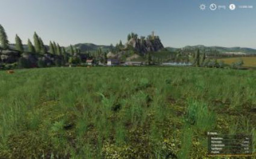 FS19 Motley grass v1.0