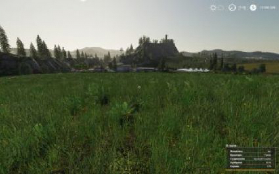 FS19 Motley grass v1.0