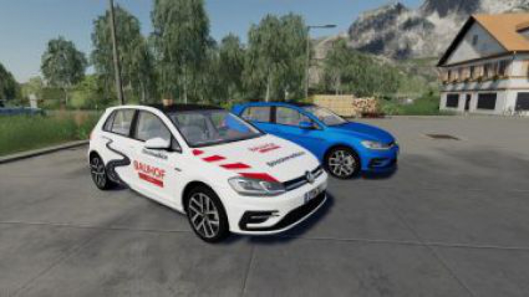 FS19 Volkswagen Golf 2017 v1.0