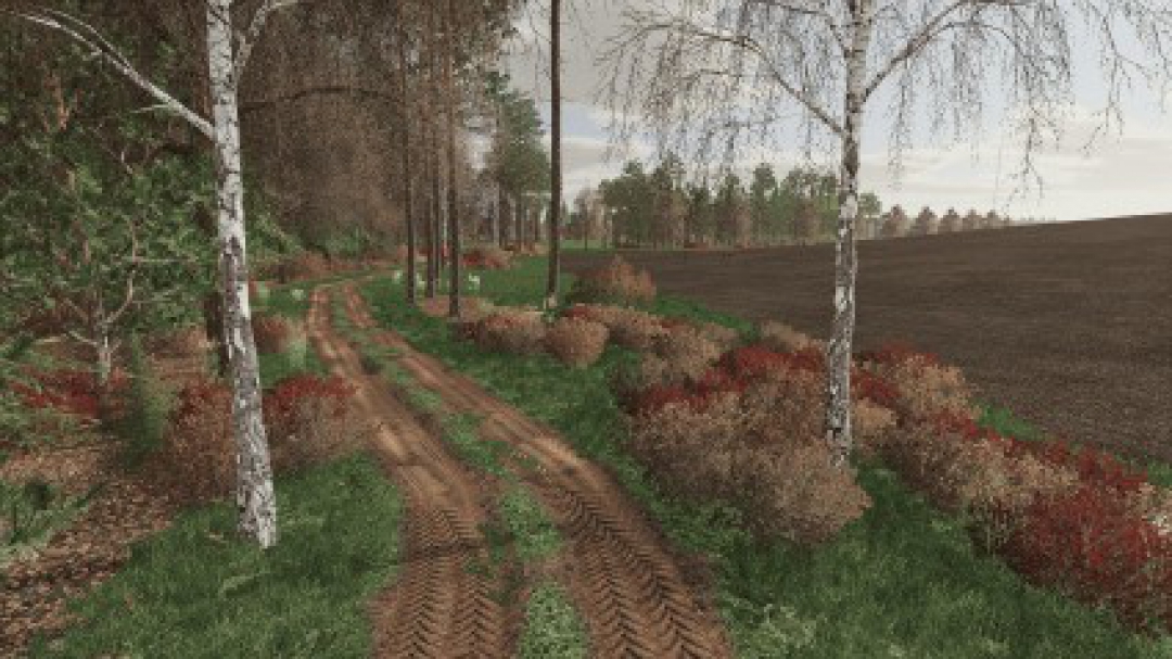 Goliszew without buildings v3.0.2