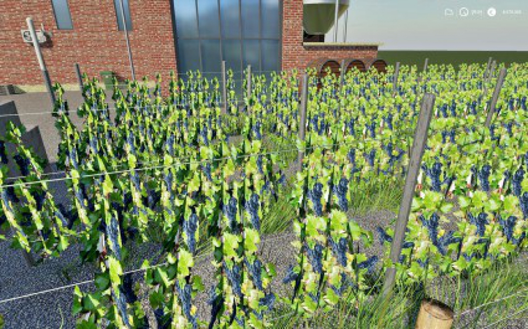 FS19 Winery v1.0