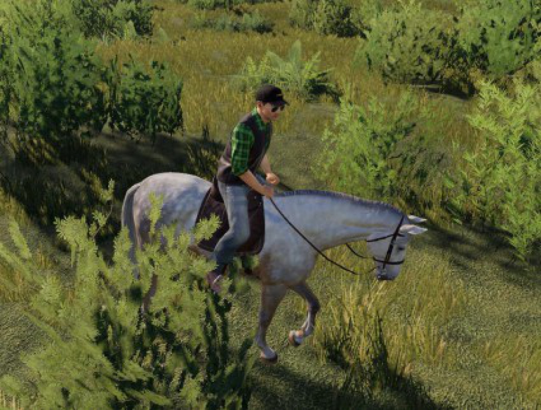 Horse v1.0.0.0