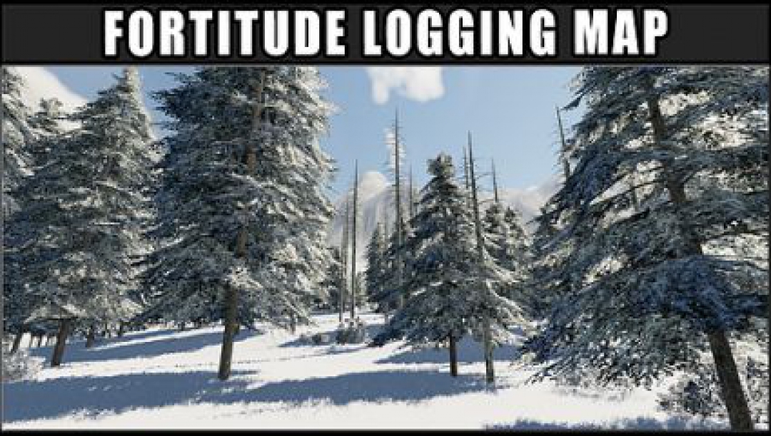 Fortitude Logging