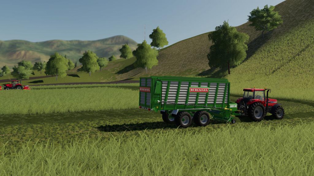 Bergmann Carex 38S v1.0.0.0