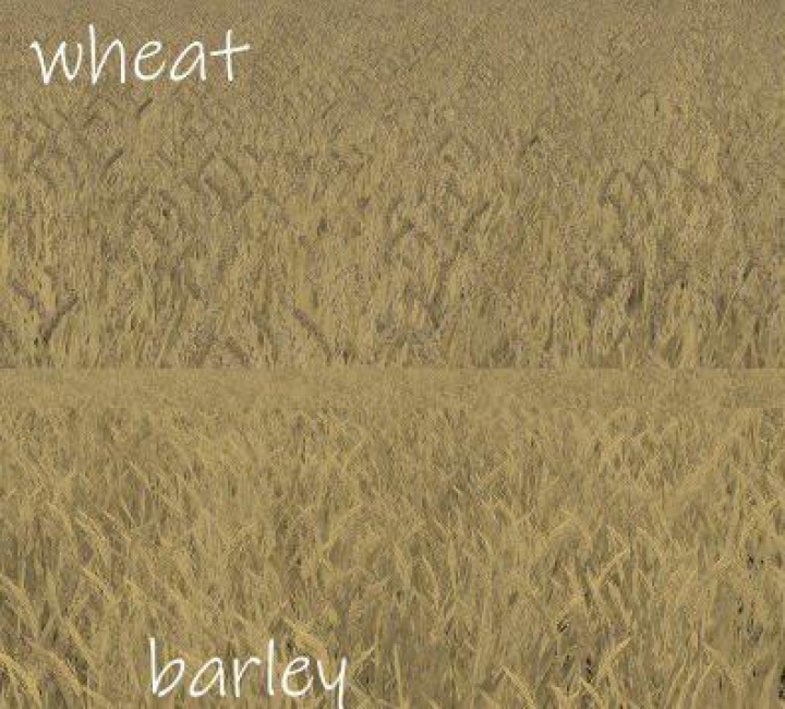 Trending mods today: WHEAT - BARLEY TEXTURE v1.0.0.0