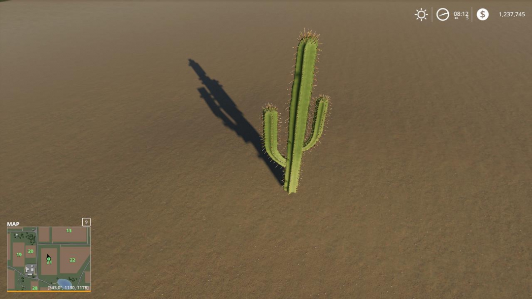 FS19 Cactus v1.0.0.0