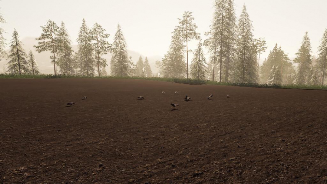 Crows Sound Fix v1.0.0.0