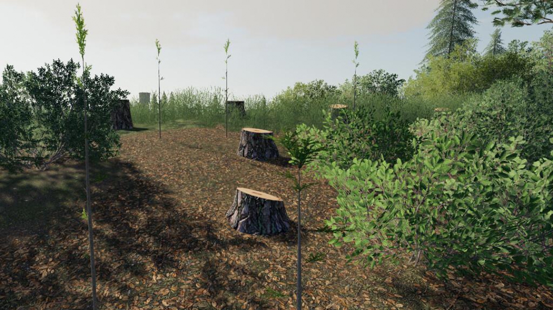 Player Plant Trees v1.0.0.0