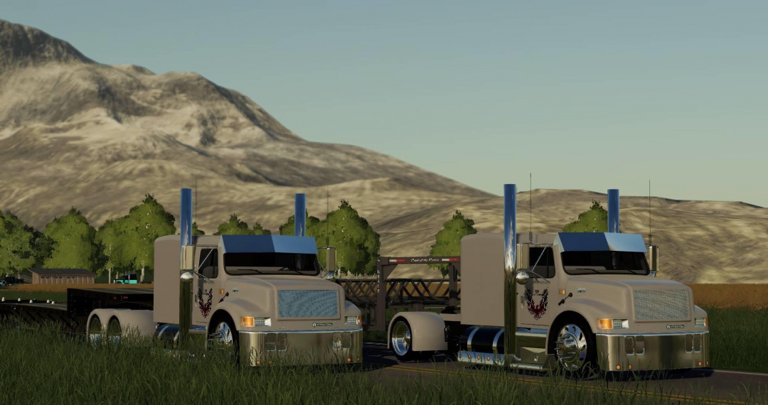 International 4900 street reaper custom Single axle v1.0