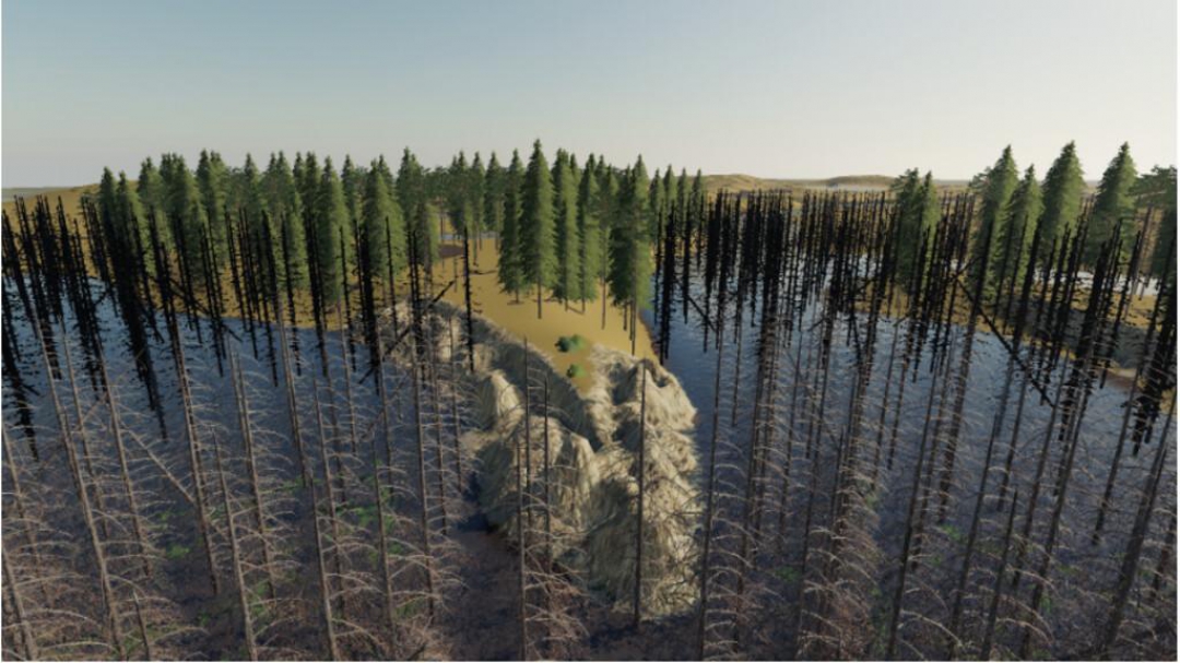 Daylight In The Swamp v1.0.0.0