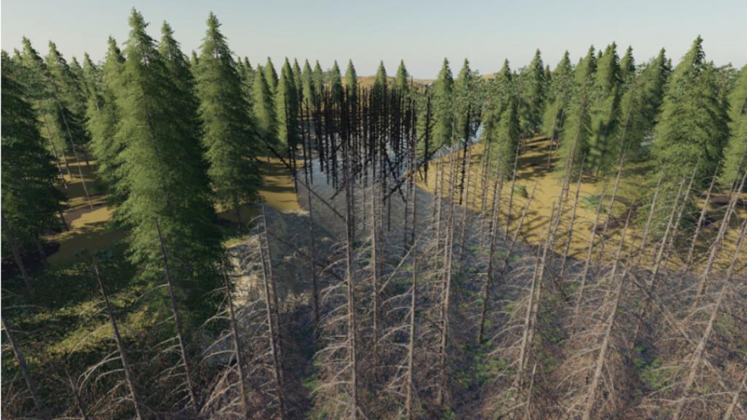 Daylight In The Swamp v1.0.0.0