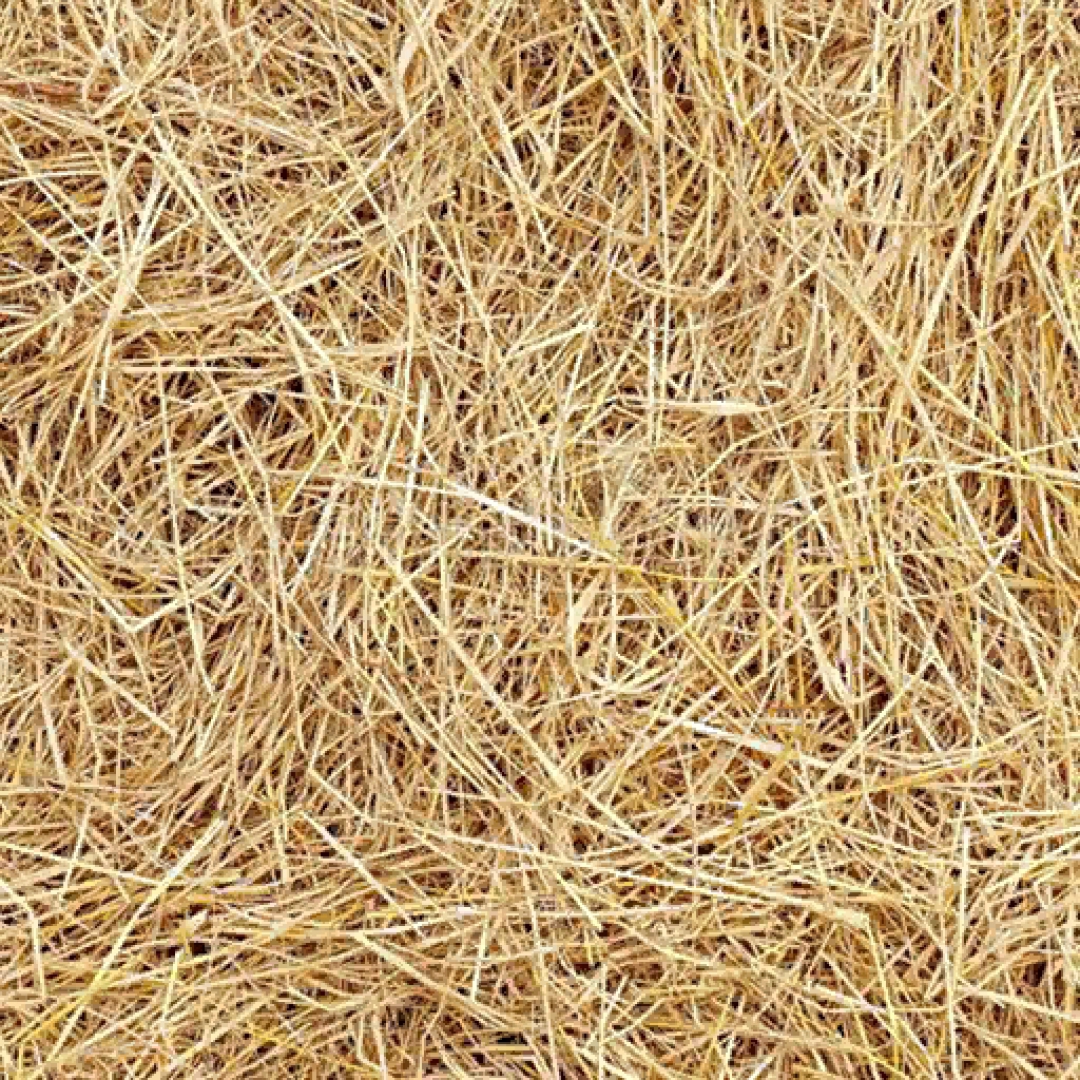 Straw Texture