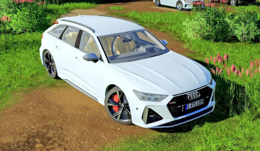 Audi RS6 Avant 2020 v1.0.0.0